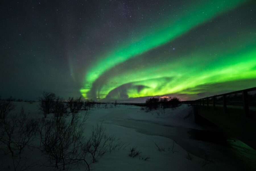 From Alta: Nighttime Northern Lights Spotting Tour - Minibus travel to the best available viewing sites