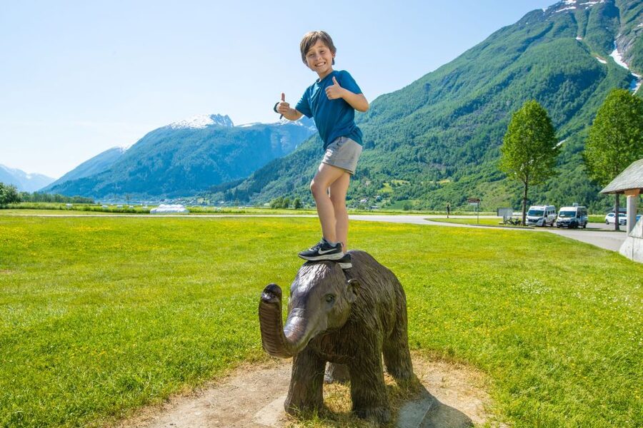 From Balestrand: Guided Fjord & Glacier Tour to Fjærland - Who will enjoy this tour most