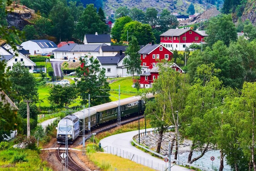 From Bergen: Flam Full-Day Cruise to Sognefjord - The ticket issue you should not miss