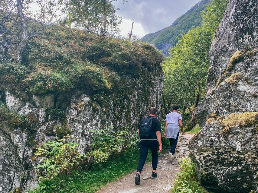 From Bergen: Folgefonna National Park & Glacier Lake Tour - Is $222 a Fair Price?