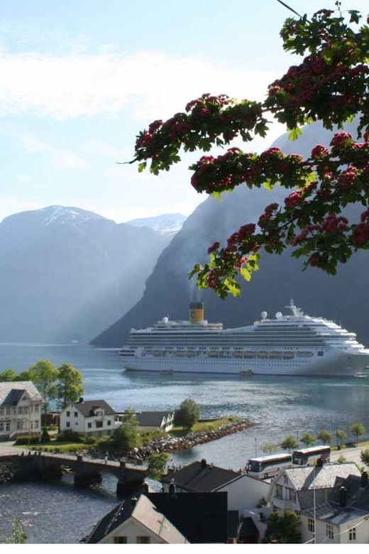 From Hellesylt: The Best of Geiranger Shore Excursion - Key points to know before you book