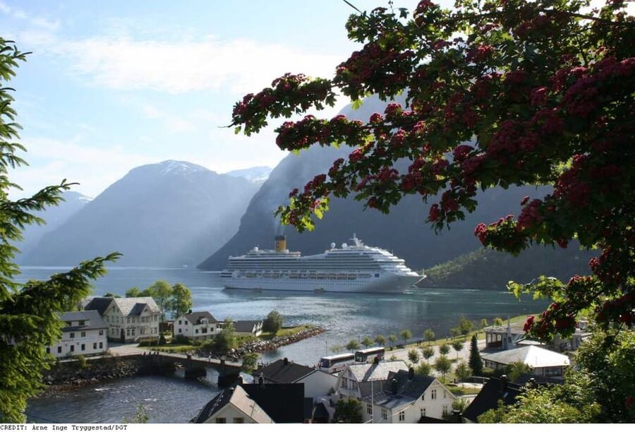 From Hellesylt: The Best of Geiranger Shore Excursion - Why this Hellesylt excursion covers so much ground