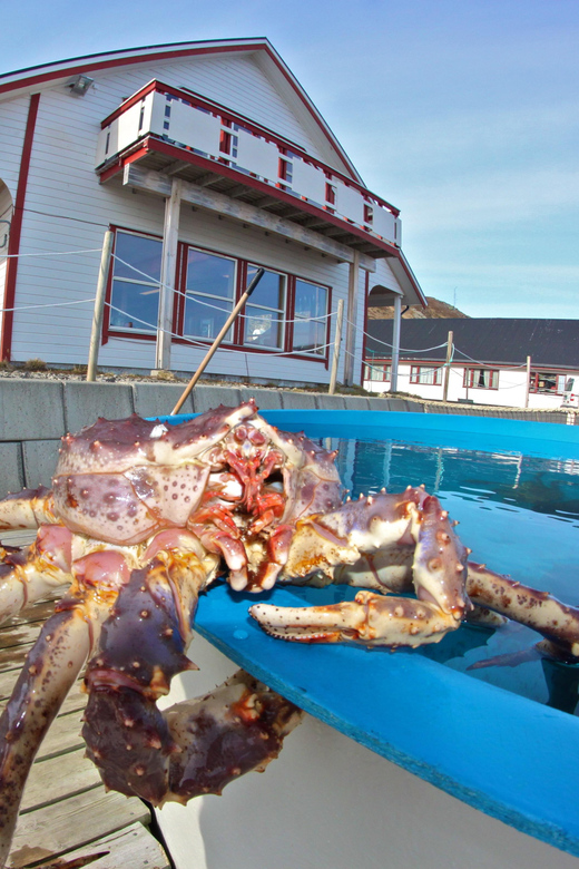 From Honningsvåg: VIP North Cape and Kingcrab Tour - Booking details worth checking