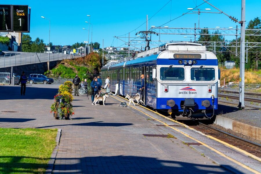 From Narvik: Roundtrip Arctic Train Ride on Ofoten Railway - Who should book this train ride?