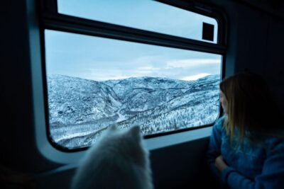 Roundtrip Arctic Train Ride on Ofoten Railway