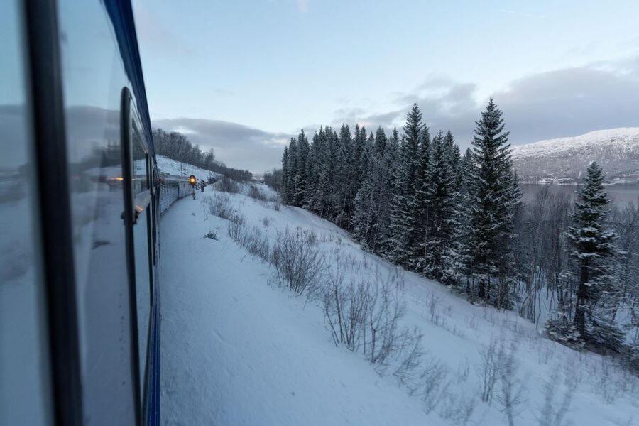 From Narvik: Roundtrip Arctic Train Ride on Ofoten Railway - Seating, views, and onboard comfort