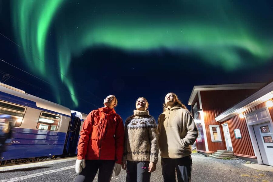 From Narvik: The Northern Lights Arctic Train Guided Tour - Key points at a glance