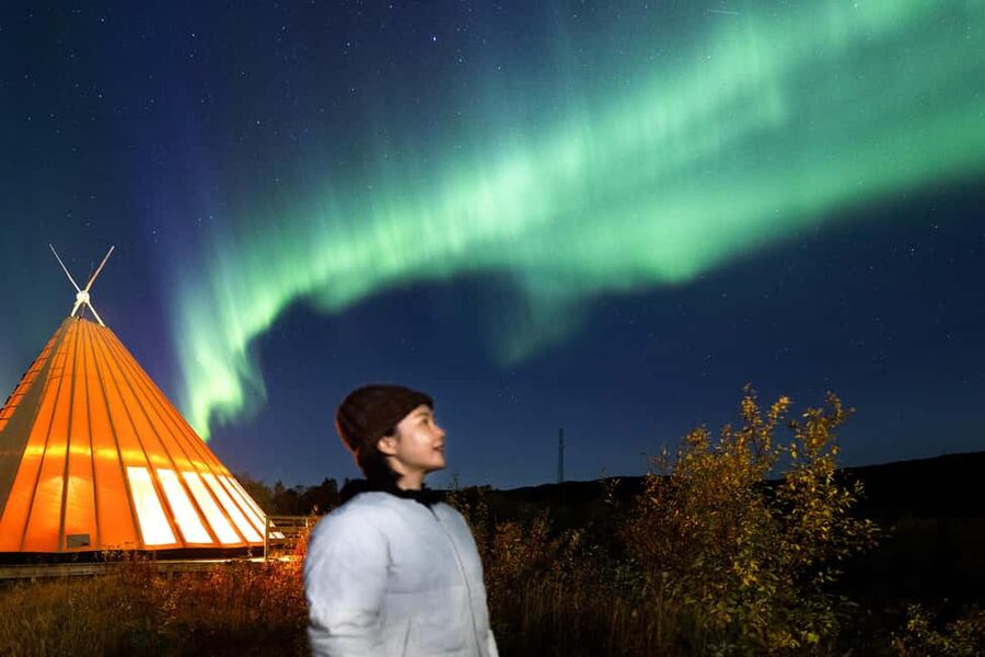 From Narvik: The Northern Lights Arctic Train Guided Tour - The guide and the learning side of the tour