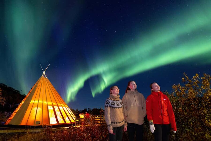 From Narvik: The Northern Lights Arctic Train Guided Tour - What $142 buys you