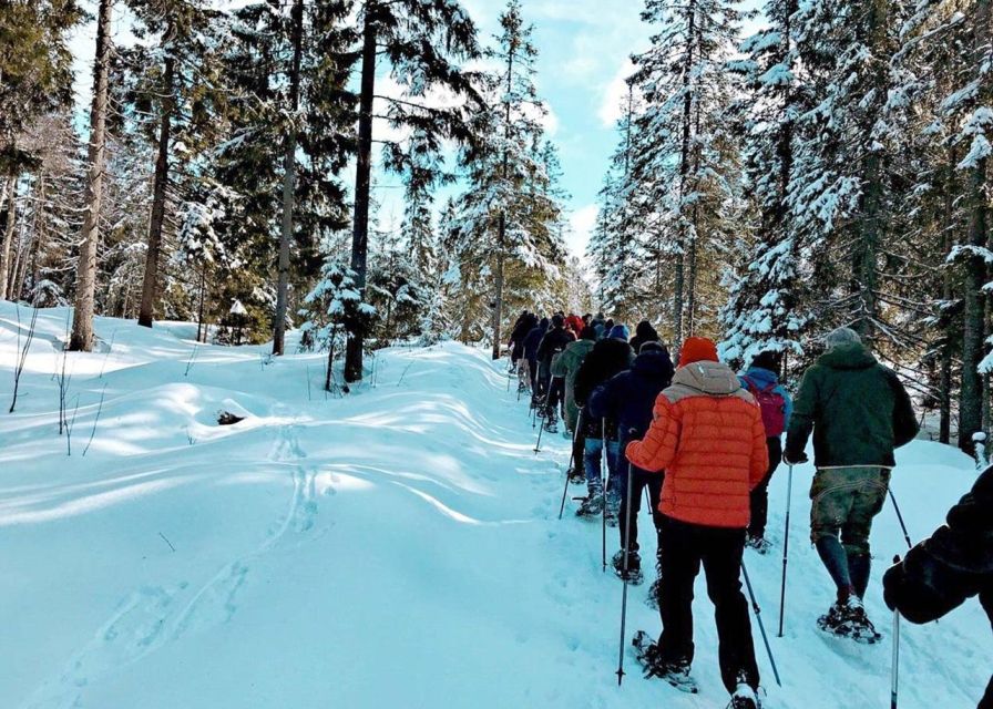From Oslo: Oslomarka Forest Guided Snowshoeing Tour - A quiet walk with real winter character