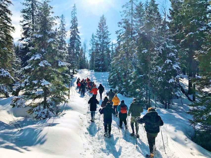 From Oslo: Oslomarka Forest Guided Snowshoeing Tour - Group size and guide quality