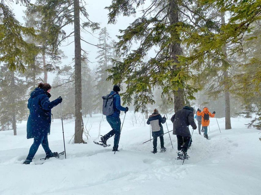 From Oslo: Oslomarka Forest Guided Snowshoeing Tour - Is $105 a fair price?