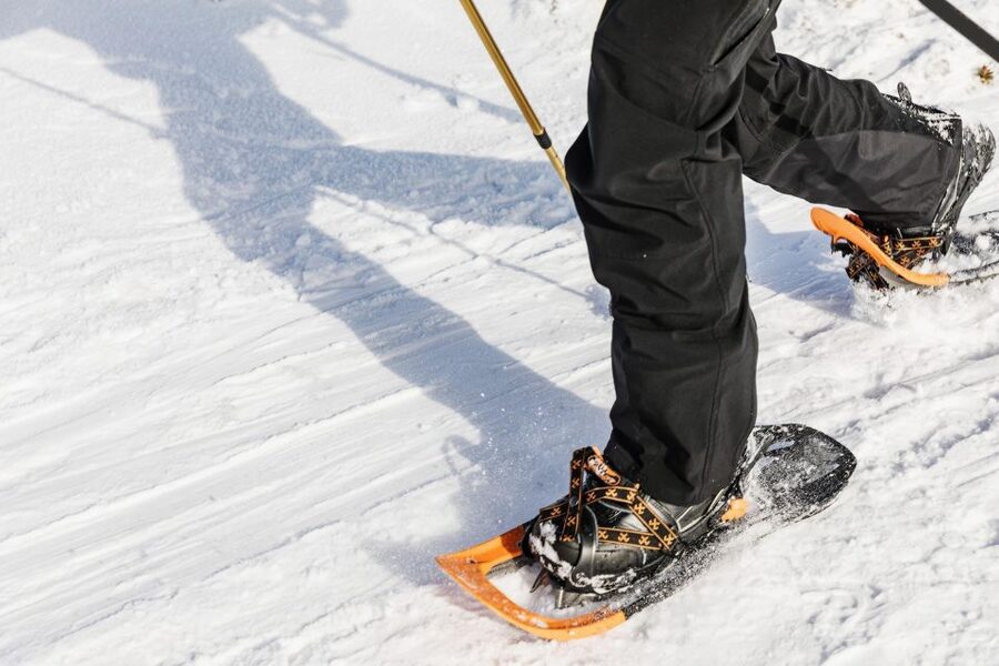 From Oslo: Oslomarka Forest Guided Snowshoeing Tour - Who will enjoy this most?