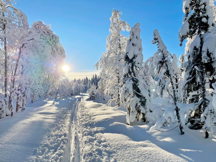 From Oslo: Oslomarka Forest Guided Snowshoeing Tour - What happens at Frognerseteren