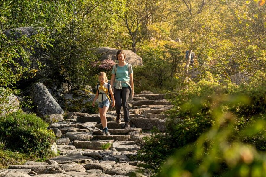 From Stavanger: Pulpit Rock Guided Hike with Pickup - The old trail, forest quiet, and wild berries