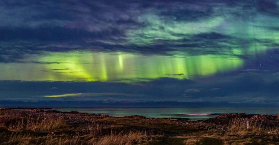 From Svolvær: Guided Northern Lights Tour by Van - Chasing clear skies beyond Svolvær