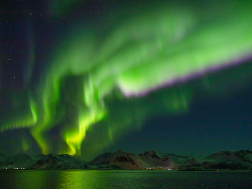 From Svolvær: Guided Northern Lights Tour by Van - Who should book this Svolvær aurora tour?