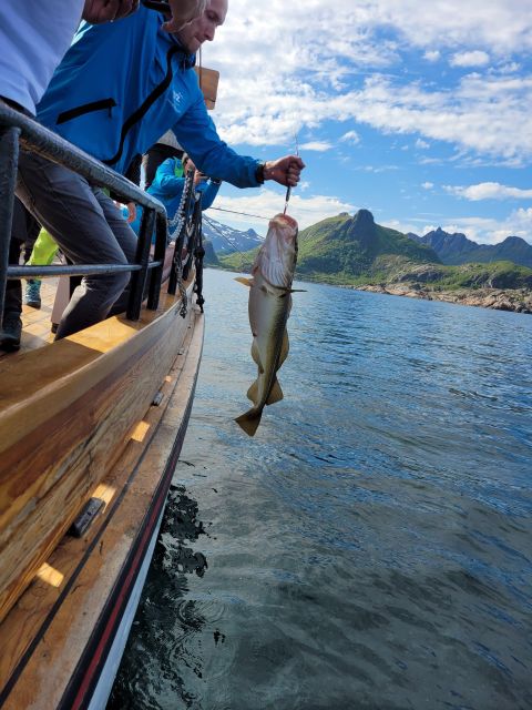 From Svolvaer: Lofoten Fishing Boat Cruise - What happens when you leave Svolvær