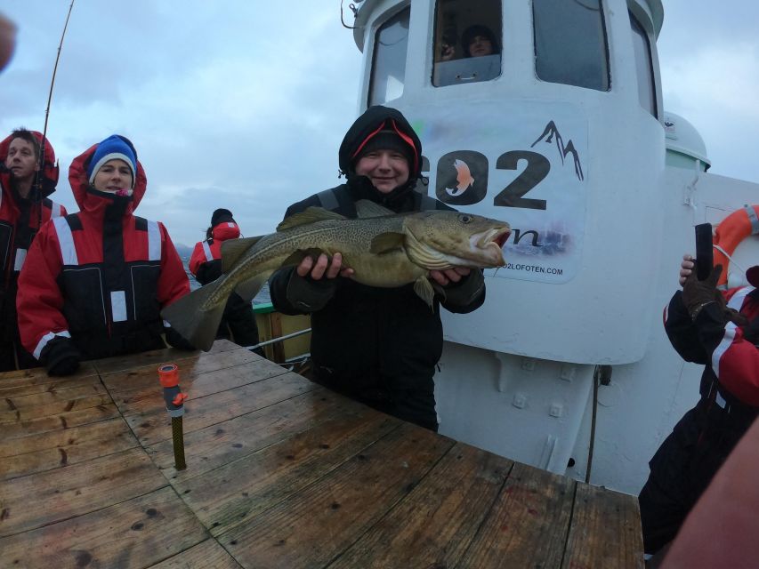 From Svolvaer: Lofoten Fishing Boat Cruise - Group size and time spent fishing