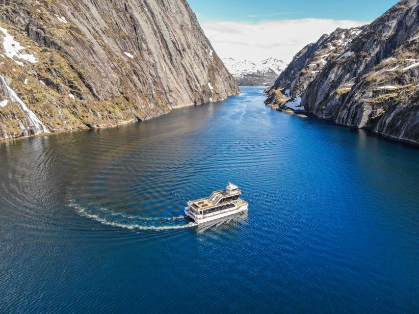 From Svolvær: Lofoten Islands Silent Trollfjord Cruise - Who will enjoy this cruise most