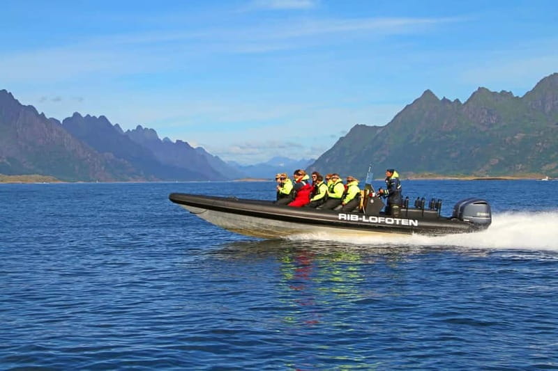 From Svolvær: Lofoten RIB Sea Eagle Safari Trollfjord Cruise - Leaving Torget in Svolvær