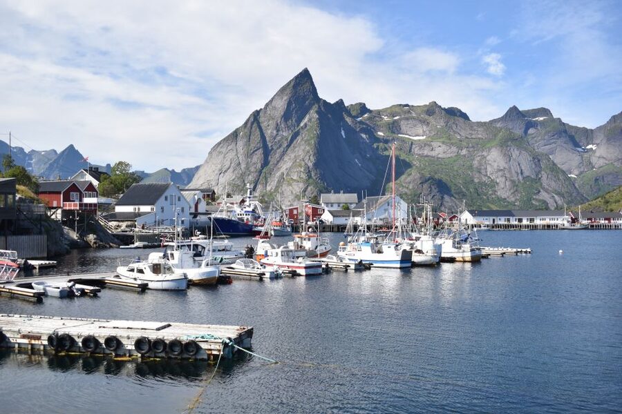 From Svolvaer: Private Lofoten Islands Tour with Transfer - Reinefjorden and the value of photo stops