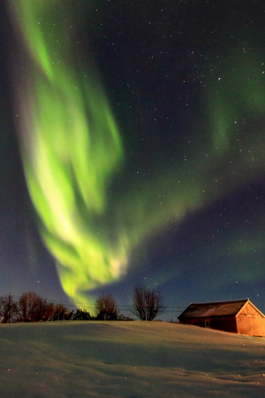 From Svolvaer: Private Northern Lights Search Trip - Key points to know before you book