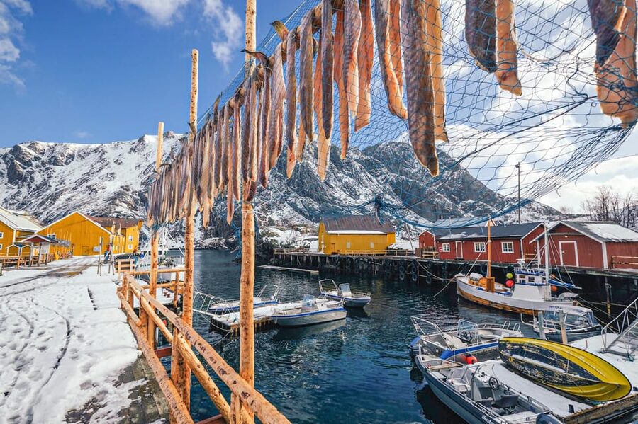 From Svolvær: Reine & Å Lofoten West Island Full Day Tour - Sakrisøya and the yellow fishermen’s cabins