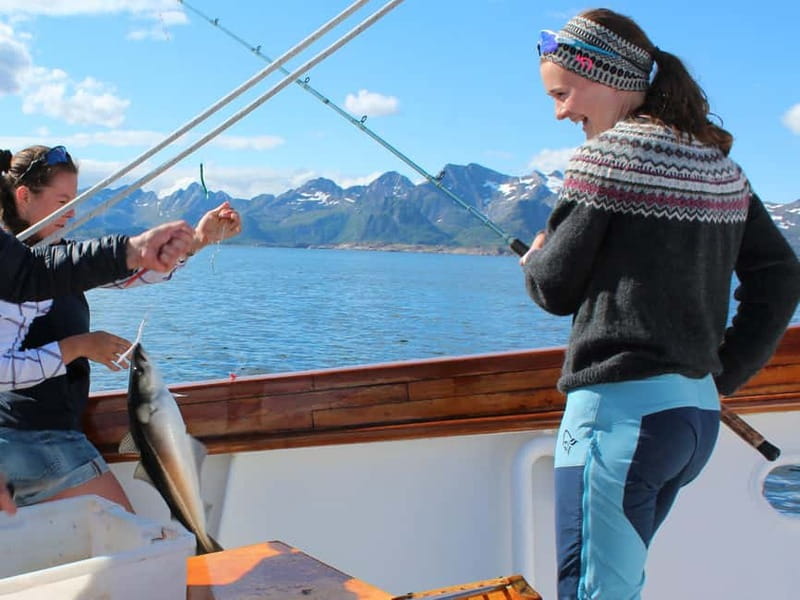 From Svolvær: Taste of Lofoten - Cultural Fishing Experience - Key things to know before you book