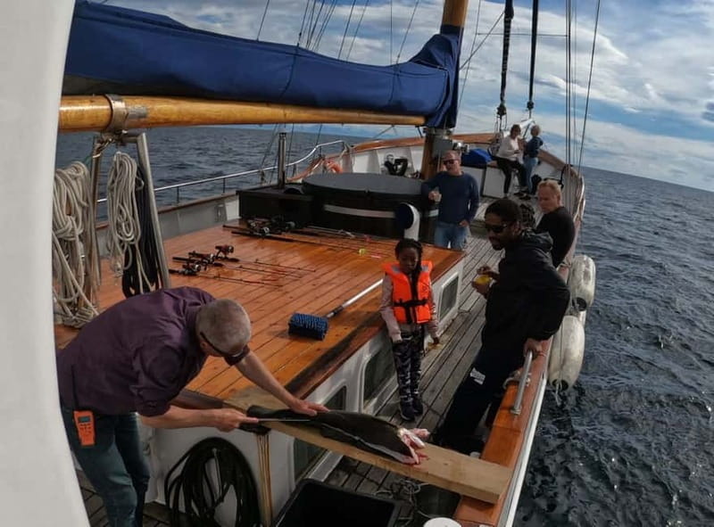From Svolvær: Taste of Lofoten - Cultural Fishing Experience - Setting out from Stella Oceana in Svolvær