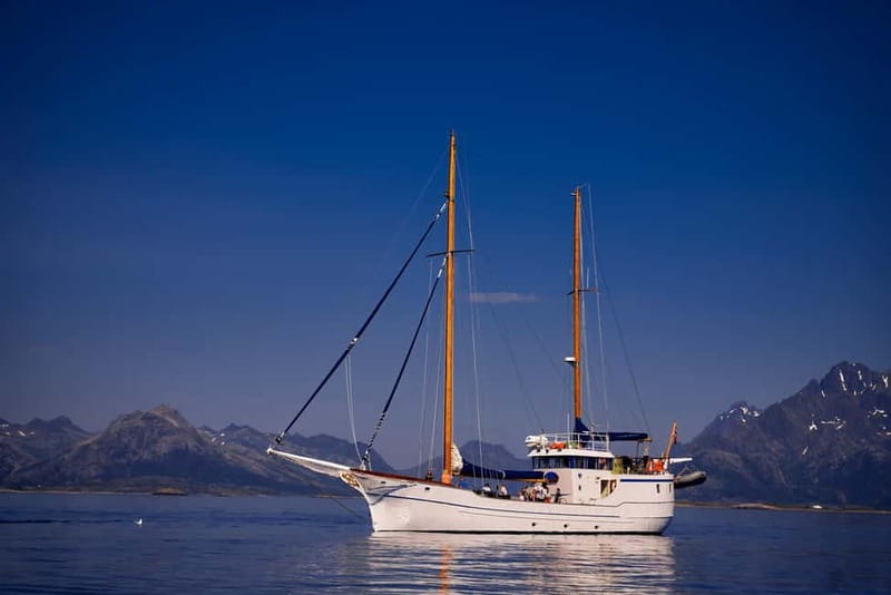 From Svolvær: Taste of Lofoten - Cultural Fishing Experience - Practical details for a smoother outing