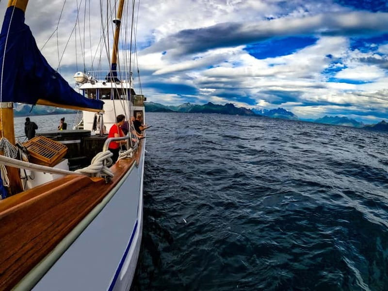 From Svolvær: Taste of Lofoten - Cultural Fishing Experience - Fishing across Vestfjorden
