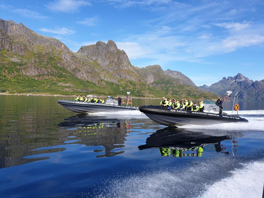 From Svolvaer: Trollfjorden Wildlife RIB Cruise - Leaving Svolvaer for Øyhellsundet