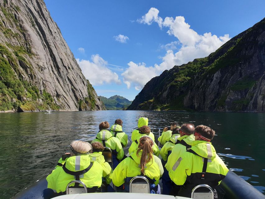 From Svolvaer: Trollfjorden Wildlife RIB Cruise - Sea eagles, seals, and the wildlife gamble