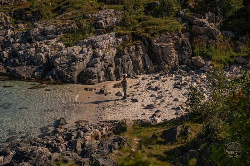 From Tromsø: Arctic Roadtrip: fjords tour with scenic picnic - Key points at a glance