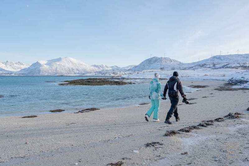 From Tromsø: Arctic Roadtrip: fjords tour with scenic picnic - Guides who keep the day human