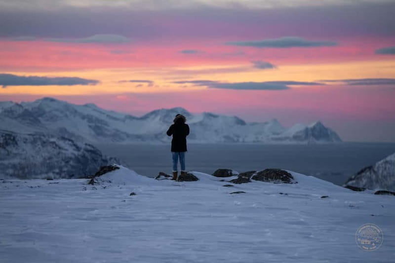 From Tromsø: Arctic Roadtrip: fjords tour with scenic picnic - Wildlife and seasonal changes