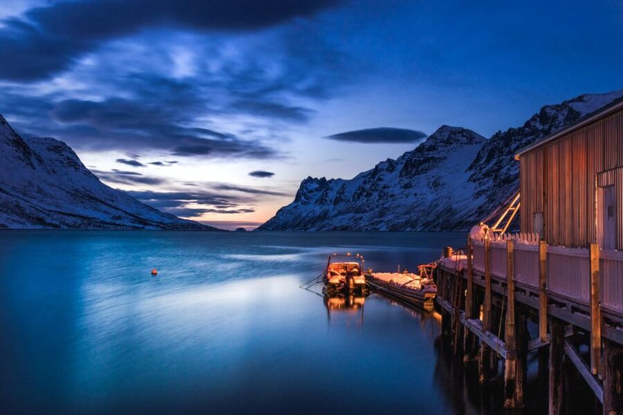 From Tromsø: Arctic Wildlife & Fjord Sightseeing Tour by Car - Stakken and Kaldfjord: short stops with big views