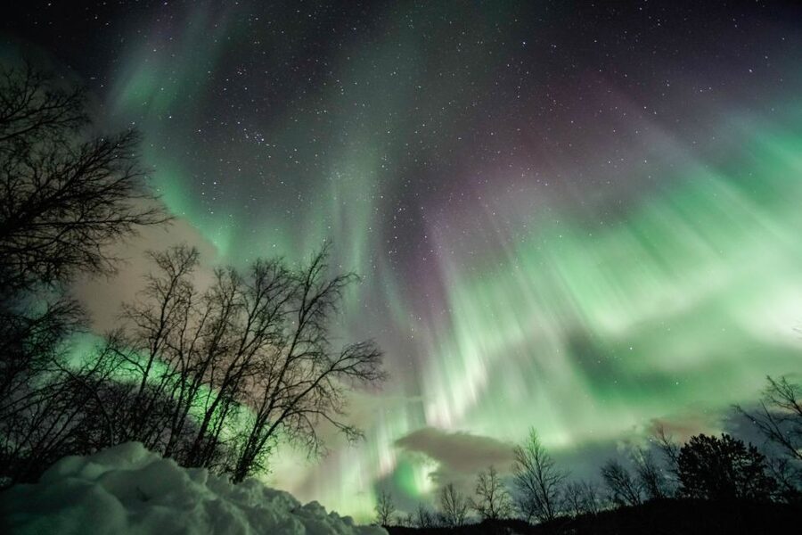 From Tromsø: Aurora Borealis Tour - What the $181 price includes