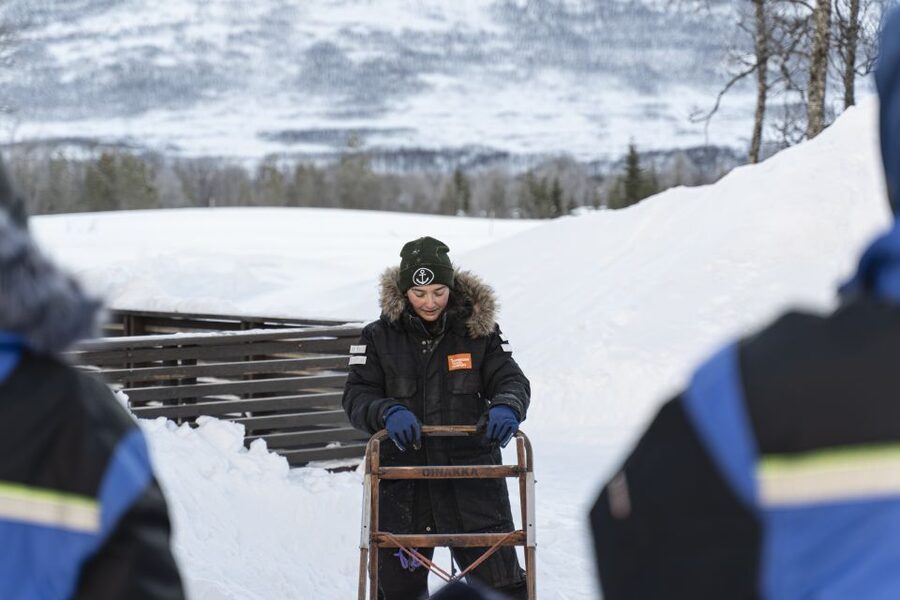 From Tromsø: Fun and Easy Dog Sledding Adventure - From Tromsø to the Breivikeidet valley