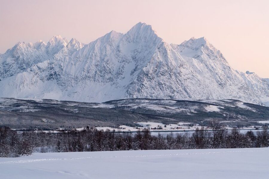From Tromsø: Fun and Easy Dog Sledding Adventure - Who should book this outing?