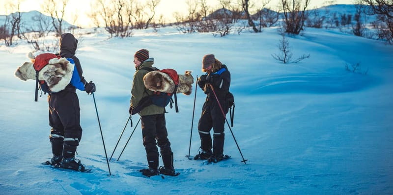 From Tromsø: Guided Husky Snowshoe Hike and Husky Camp Visit - Who will enjoy this outing most?