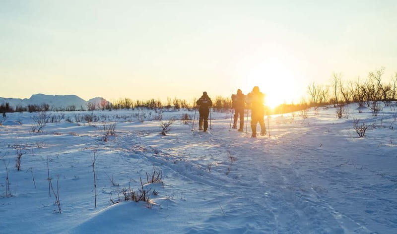 From Tromsø: Guided Husky Snowshoe Hike and Husky Camp Visit - A flexible route shaped by Arctic weather