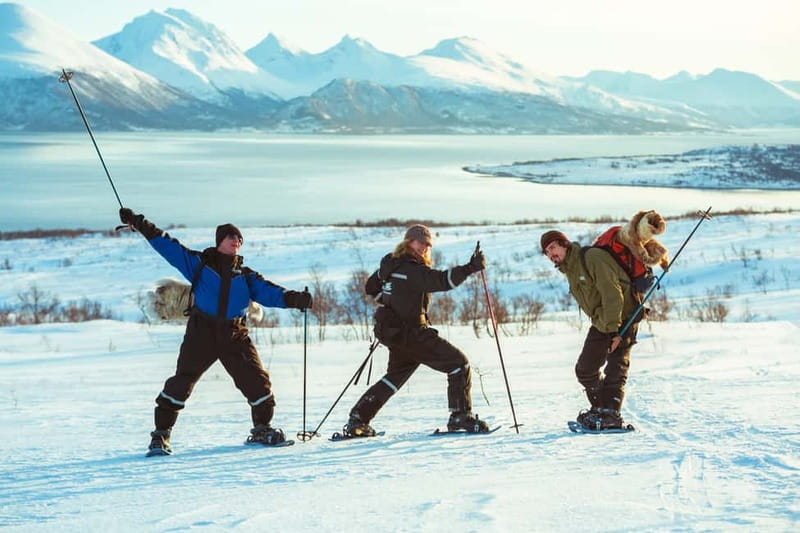From Tromsø: Guided Husky Snowshoe Hike and Husky Camp Visit - Hot drinks and cake in the snow