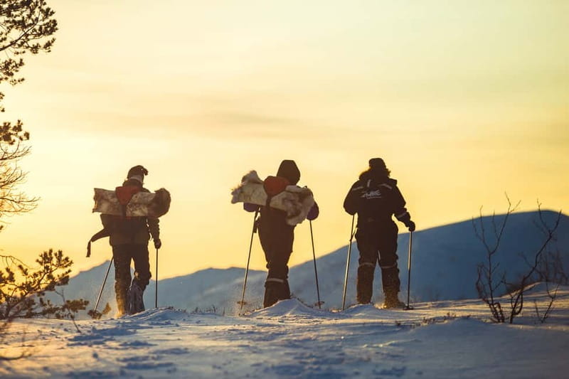 From Tromsø: Guided Husky Snowshoe Hike and Husky Camp Visit - Friendly guides and a personal feel