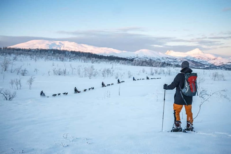 From Tromsø: Guided Husky Snowshoe Hike and Husky Camp Visit - Getting fitted for boots, overalls, and snowshoes