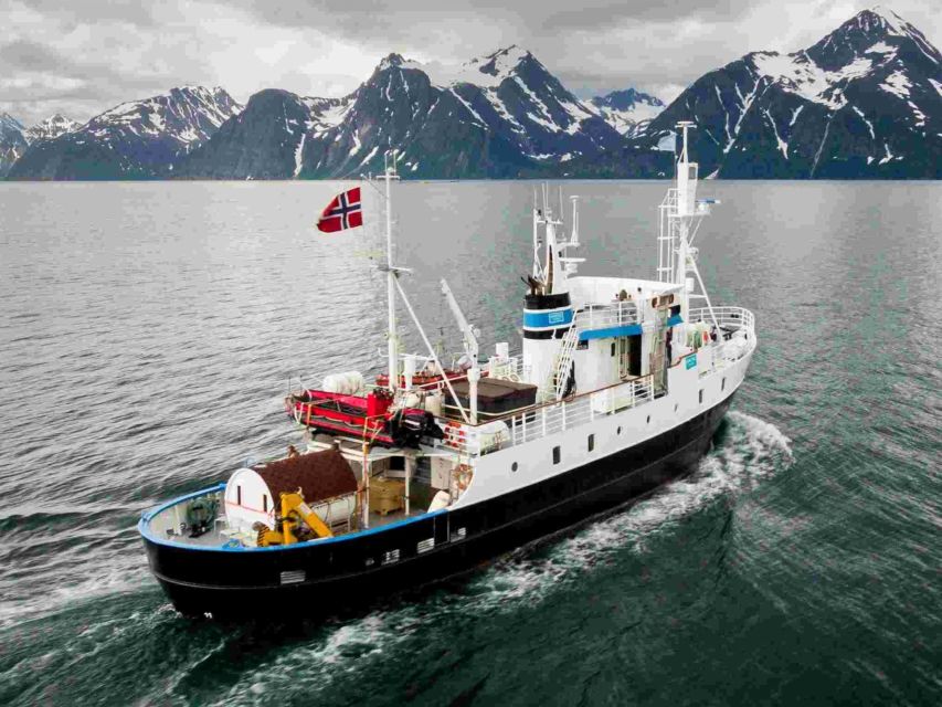 From Tromsø: Northern Lights Cruise on a Cozy Vintage Vessel - Watching the sky from the fjord