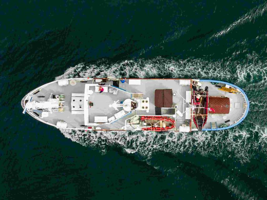 From Tromsø: Northern Lights Cruise on a Cozy Vintage Vessel - A four-hour cruise aboard MS Strønstad