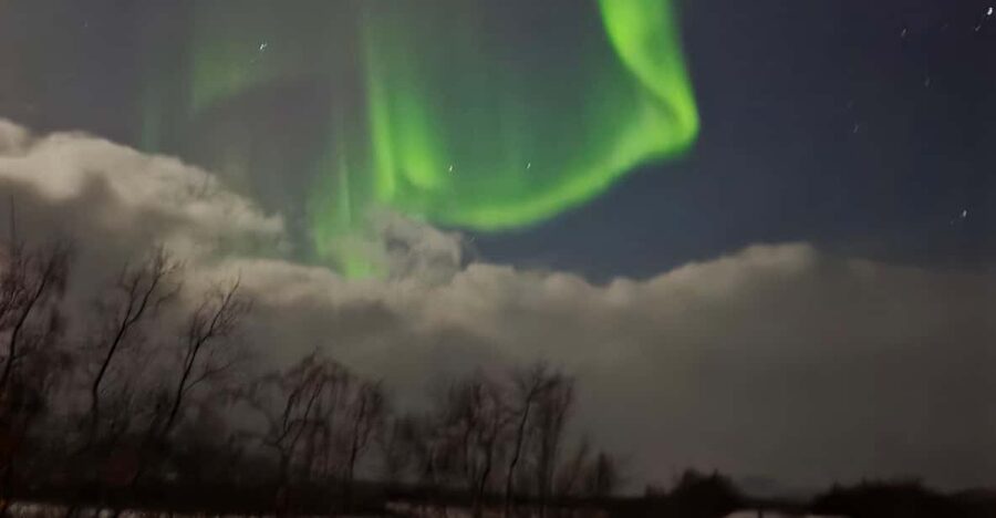 From Tromsø: Northern Lights Tour - Key points to know before booking