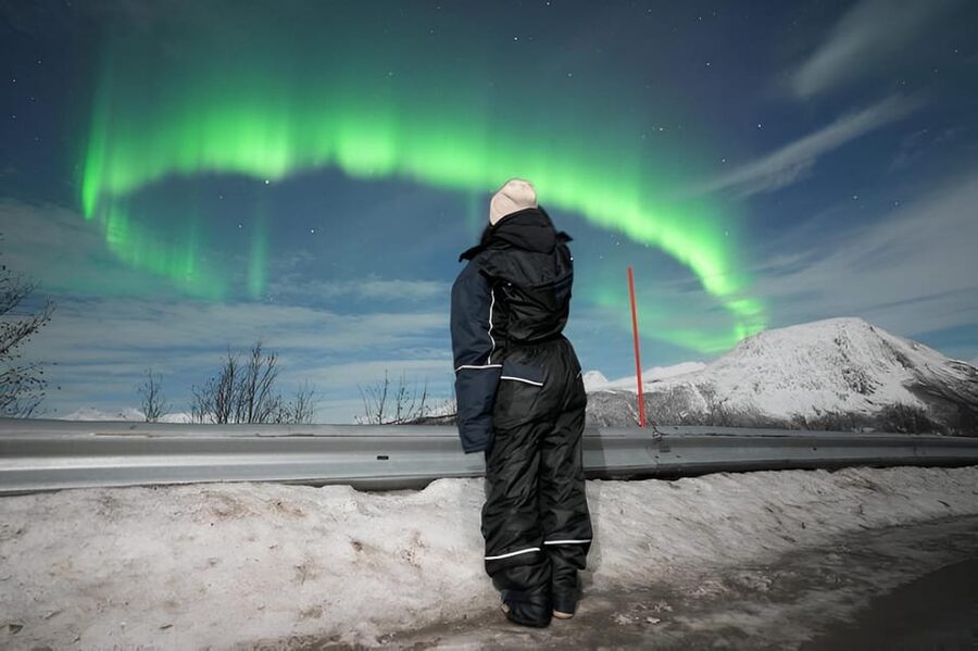 From Tromsø: Northern Lights Tour in Minibus with Photos - Chasing clear skies from Tromsø